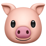 pig