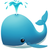 whale